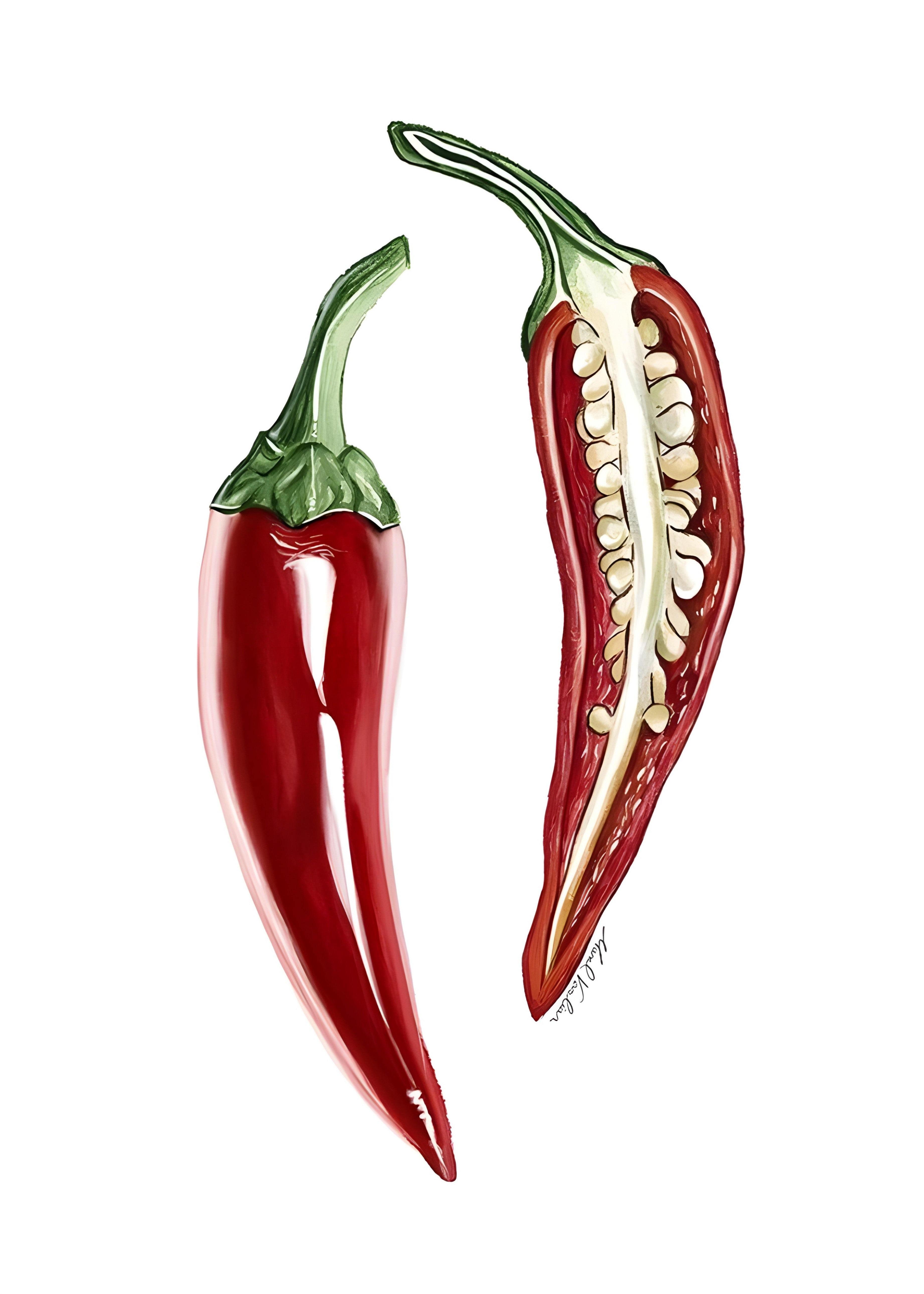 Aji rojo