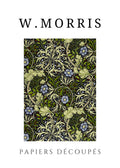 Morris - Alga marina