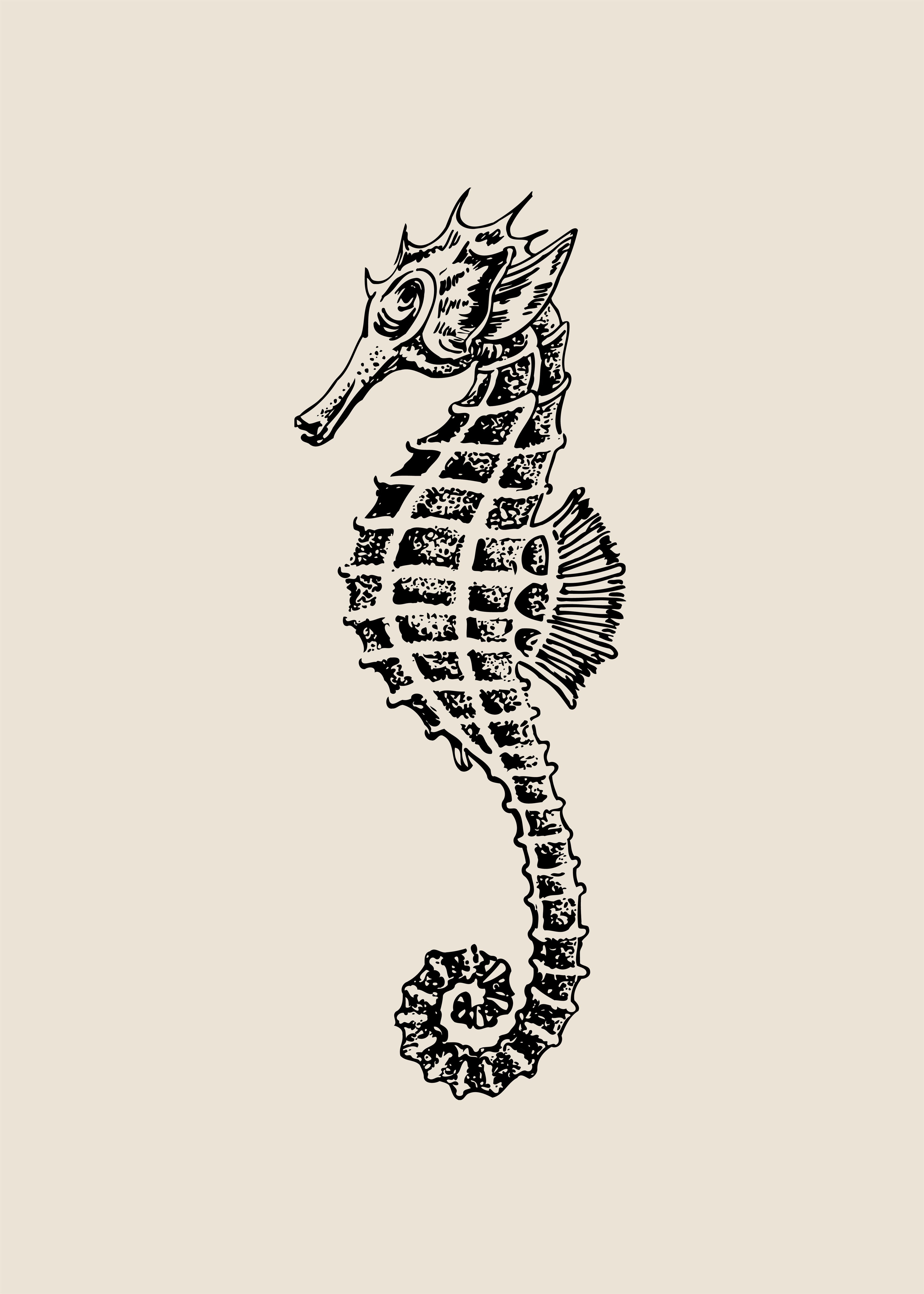Caballo de mar