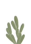 Cactus I