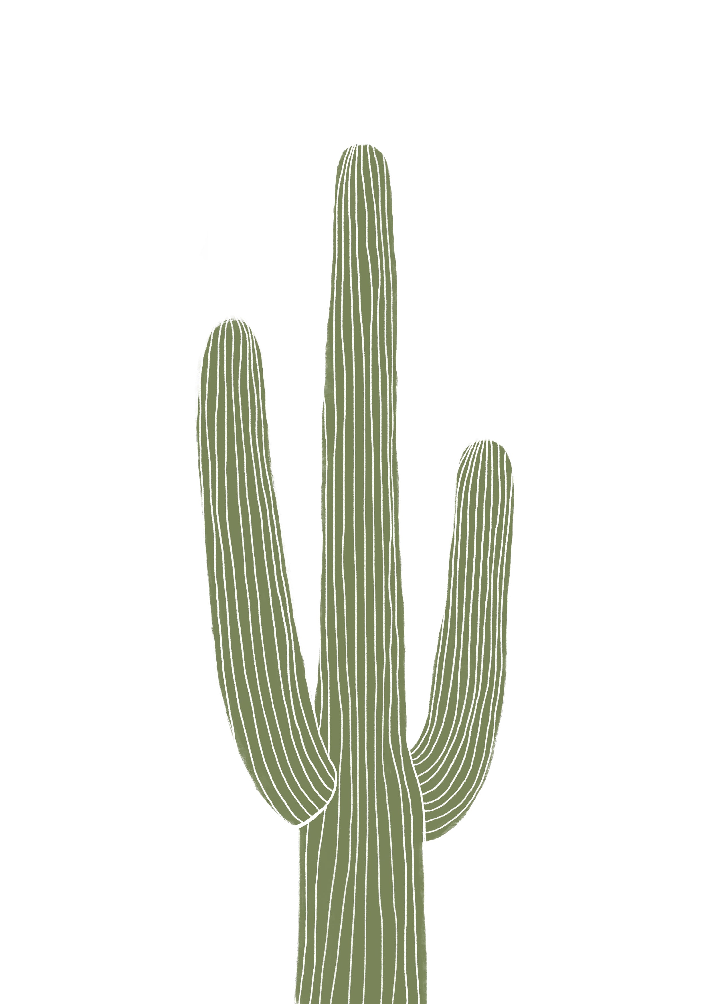 Cactus II