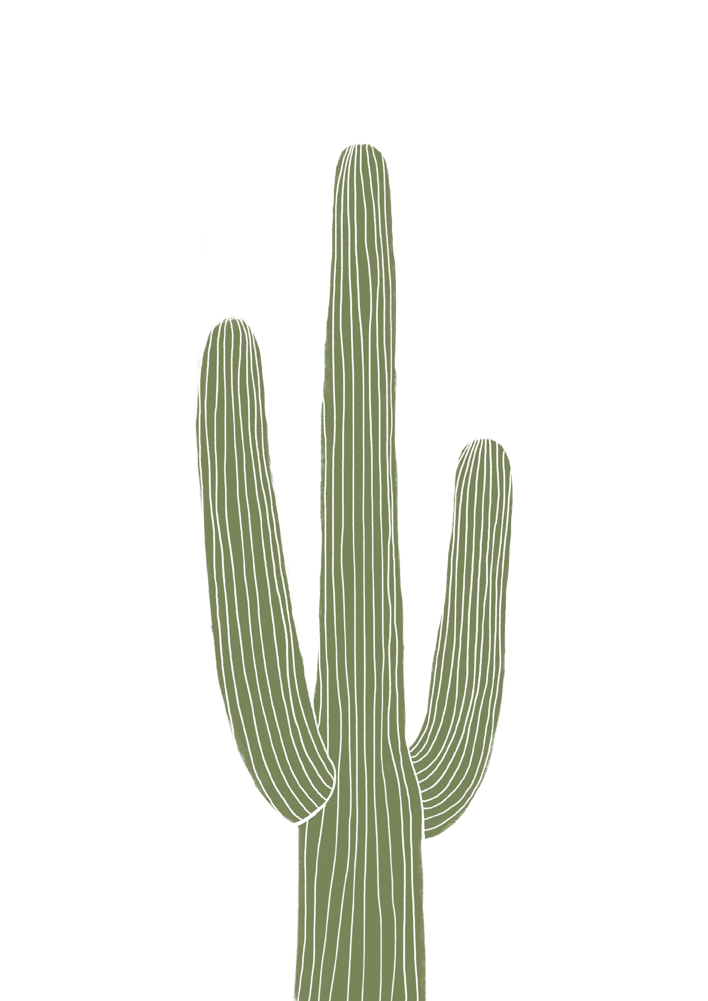 Conjunto Cactus