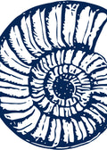 Caracola negativo
