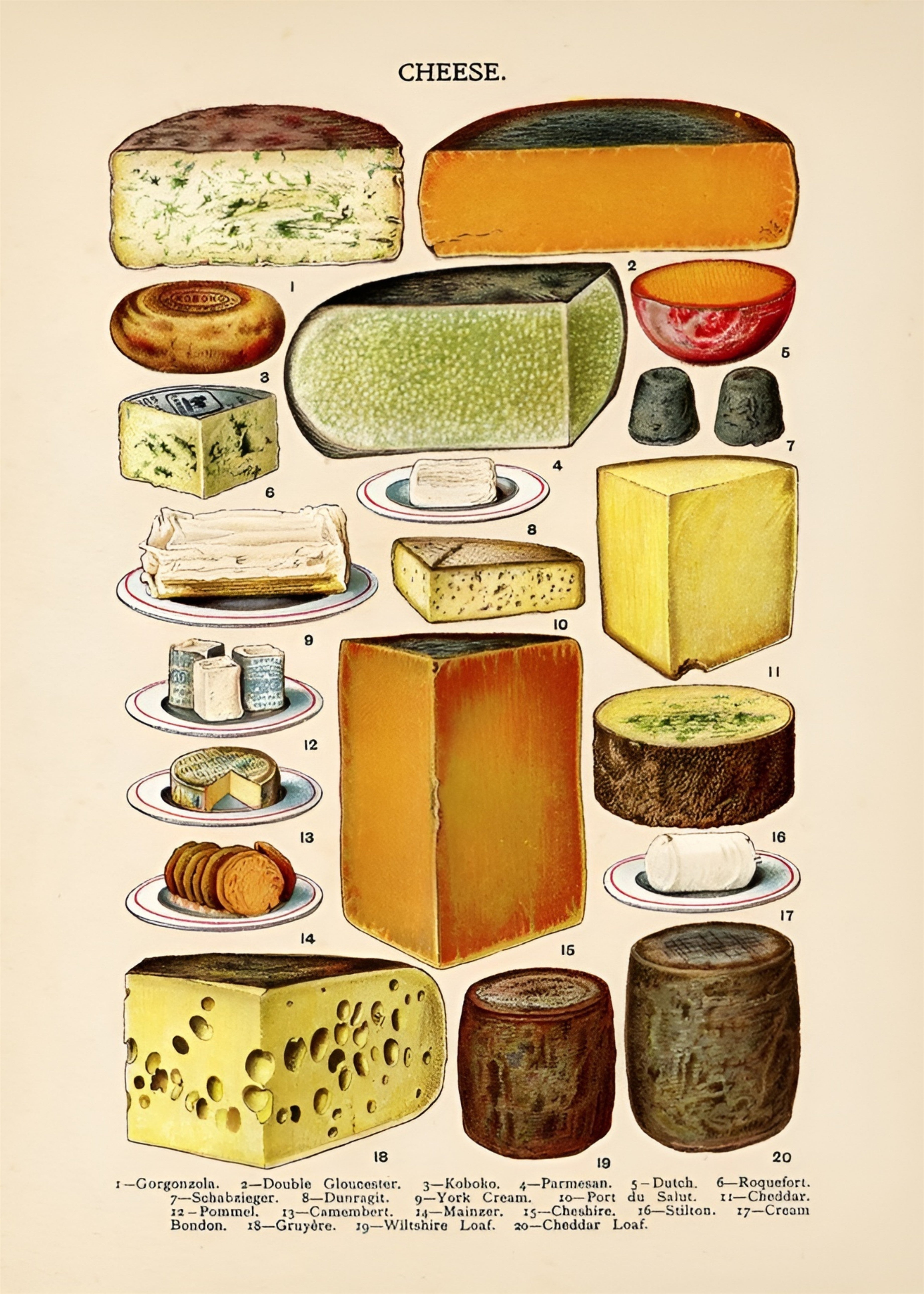 Cheese