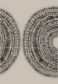 Circulares