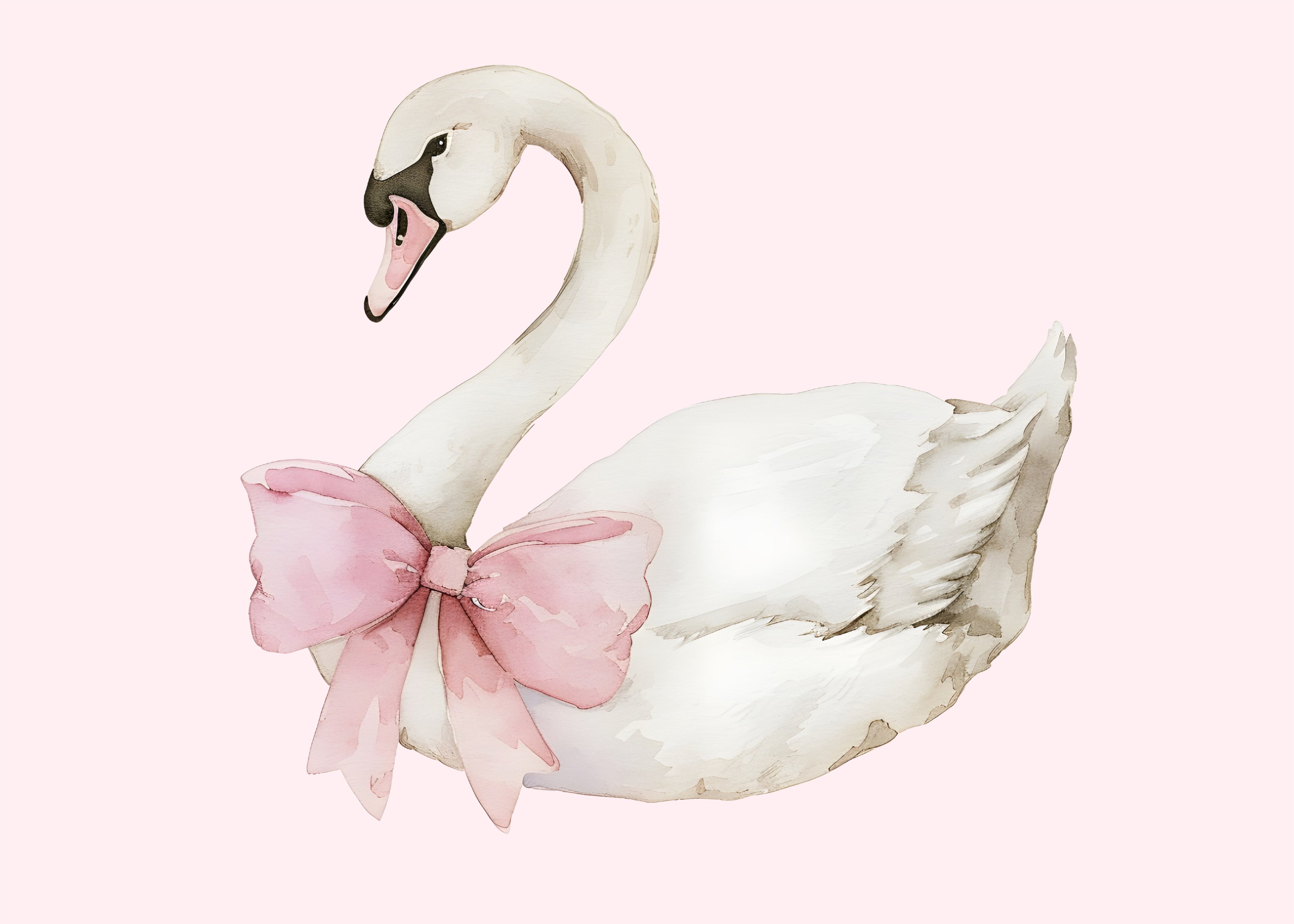 Cisne con cinta