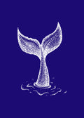 Cola ballena Azul