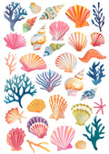 Concha tropical
