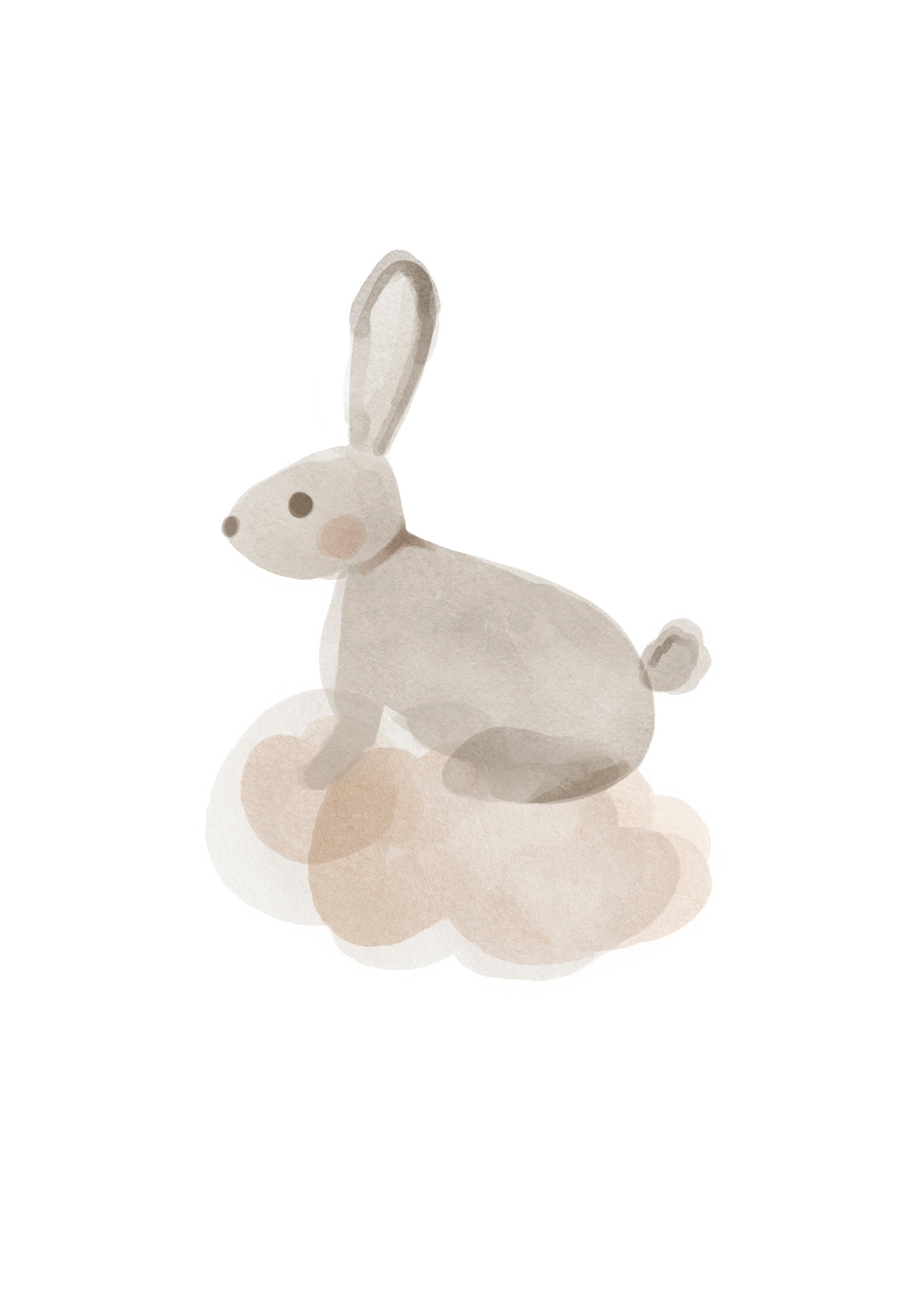 Conejo