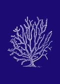 Coral III Azul Marino