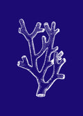 Coral II Azul Marino