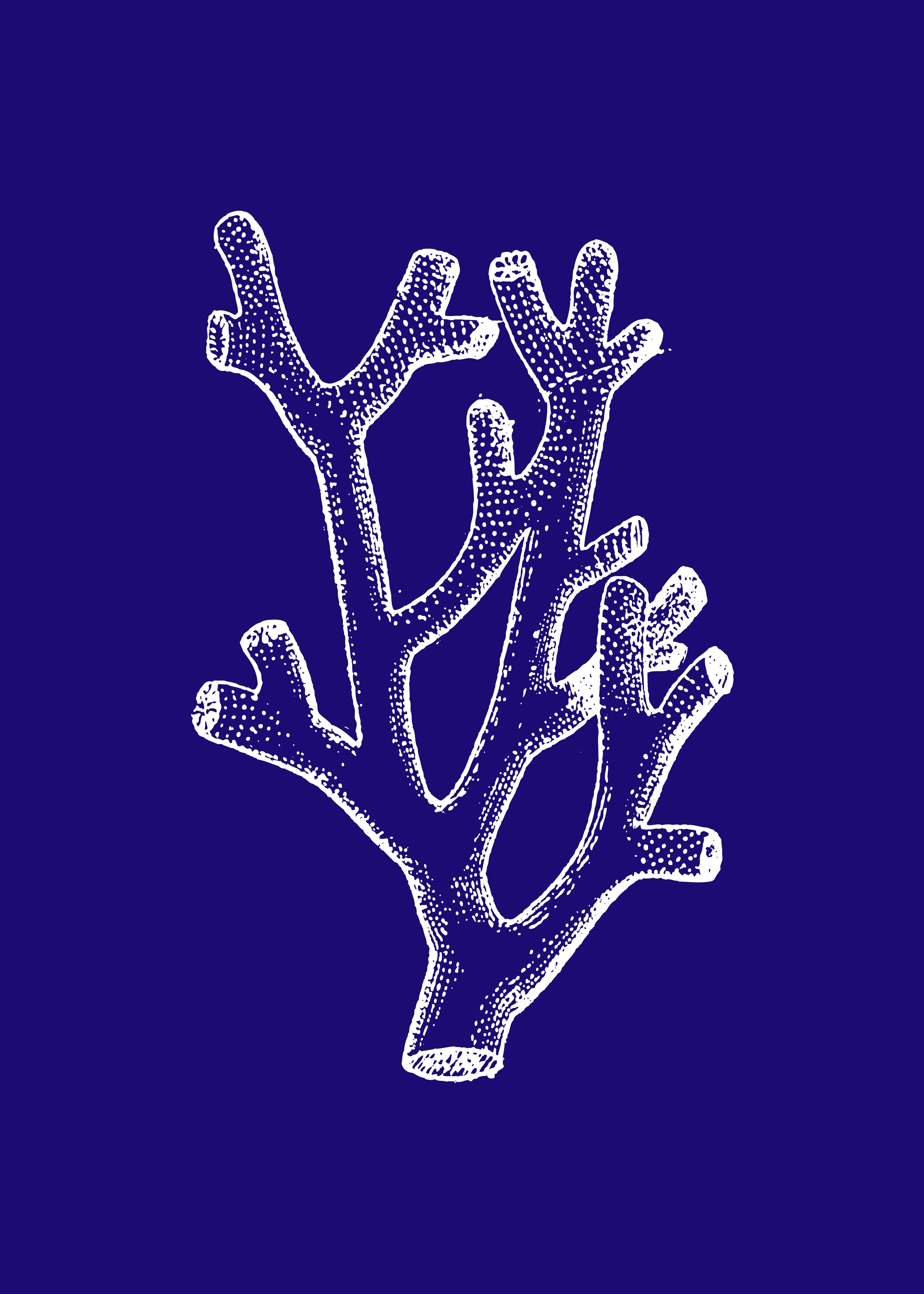 Coral II Azul Marino