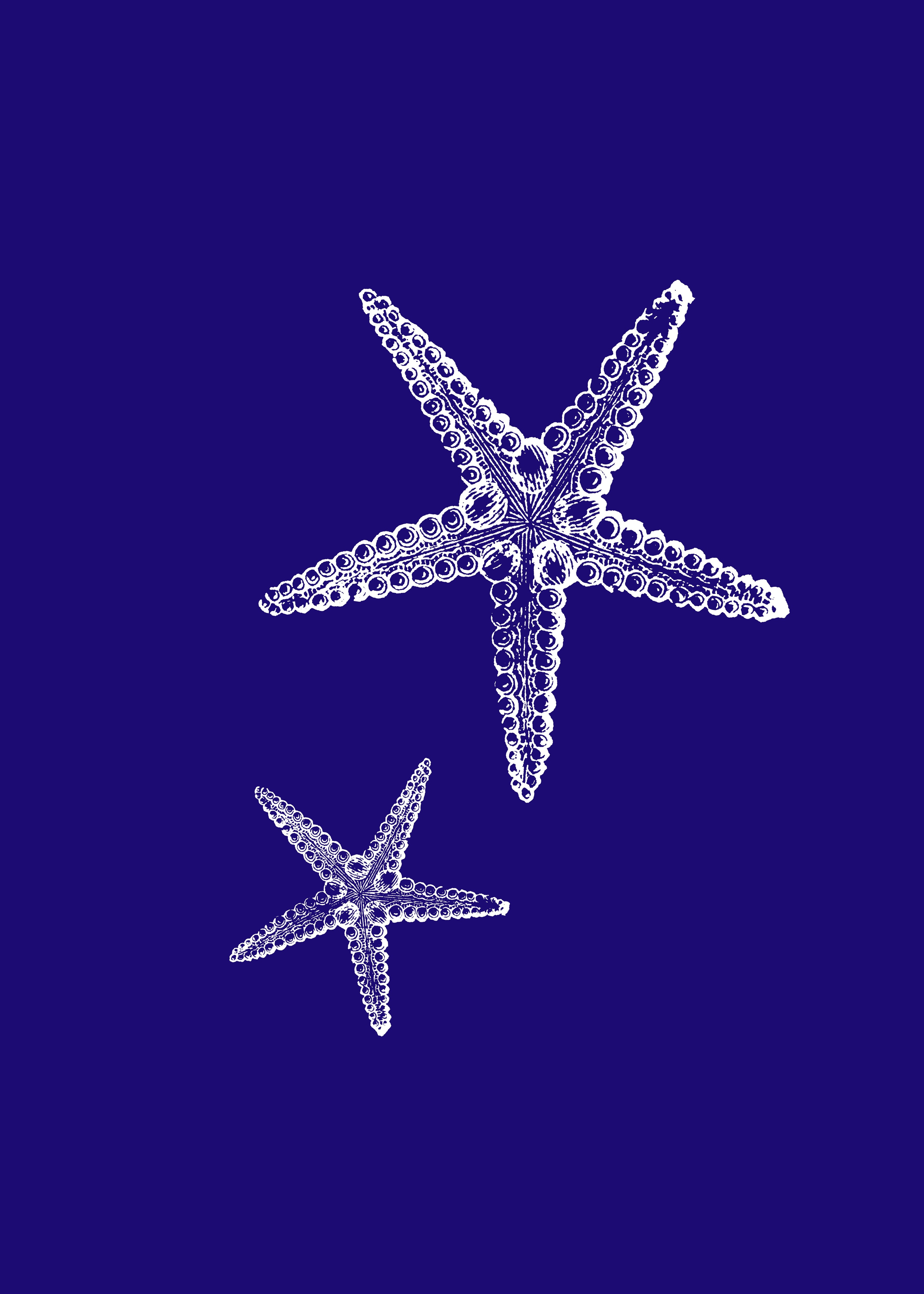 Estrellas de mar Azul