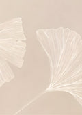 Conjunto Foliares