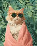 Gato en toalla