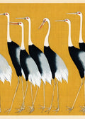 Garzas