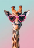 Girafa y lentes