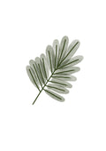 Hoja I