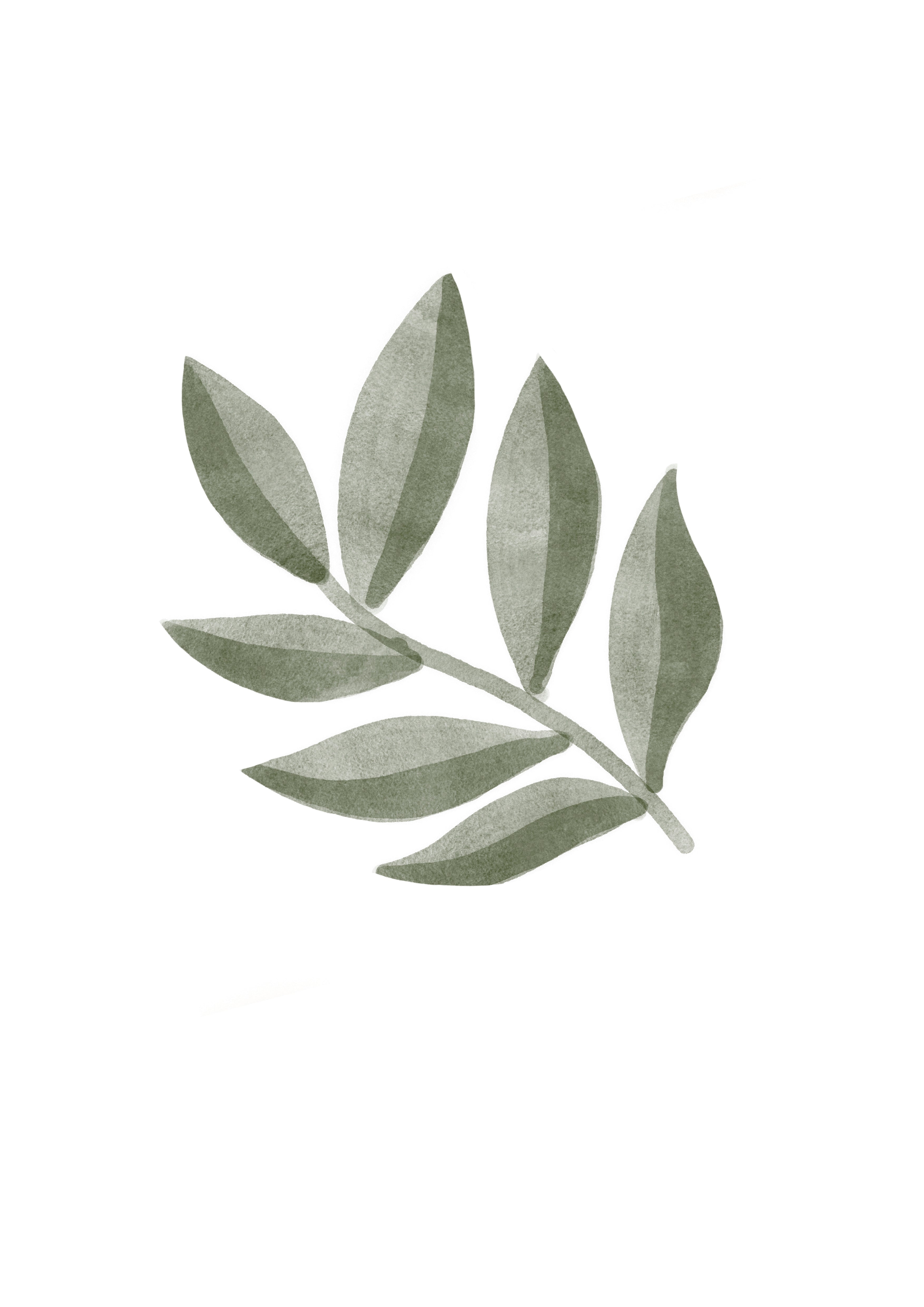 Hoja II