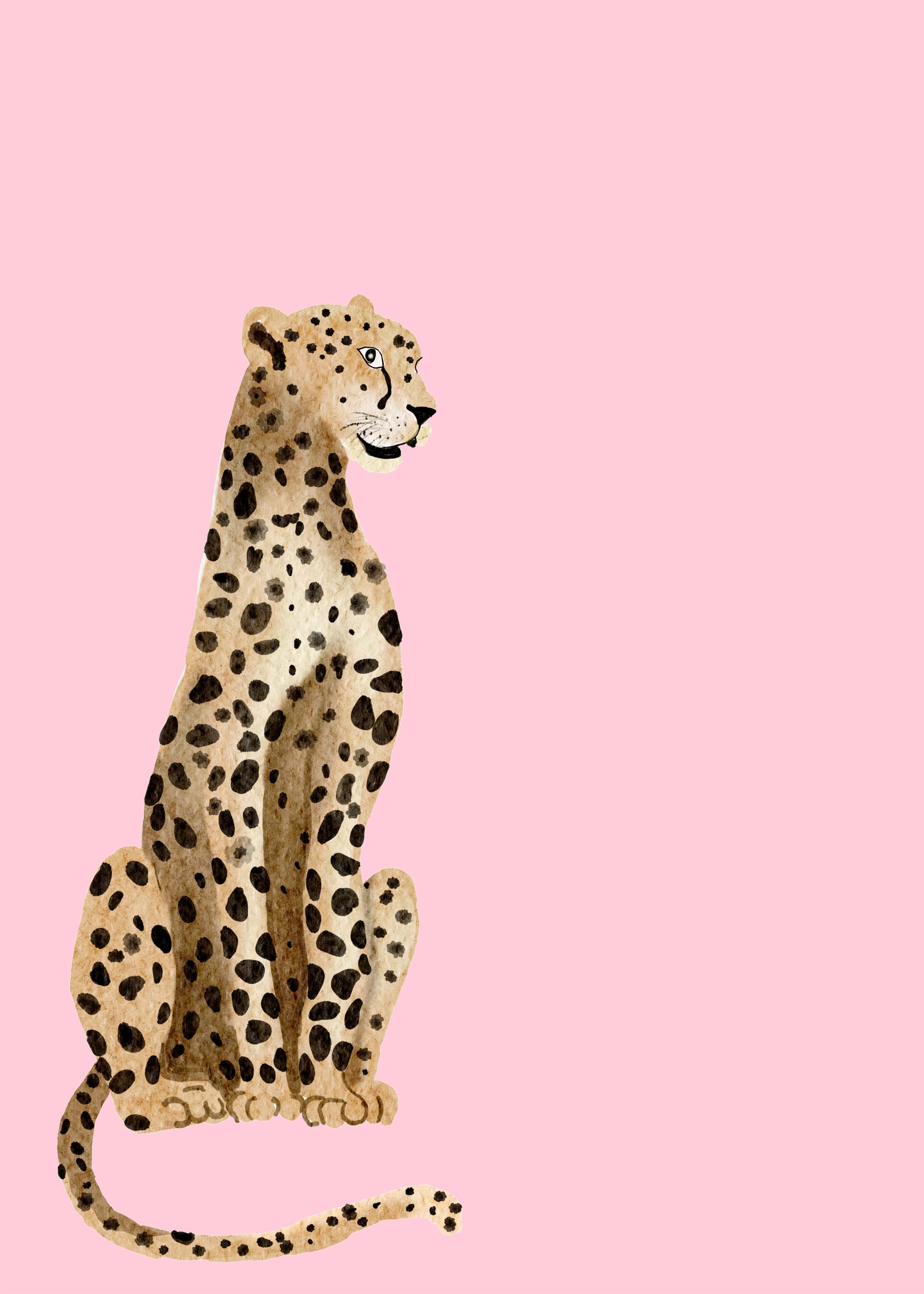 Jaguar EN rosa
