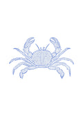 Jaiba Azul
