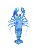 Langosta azul