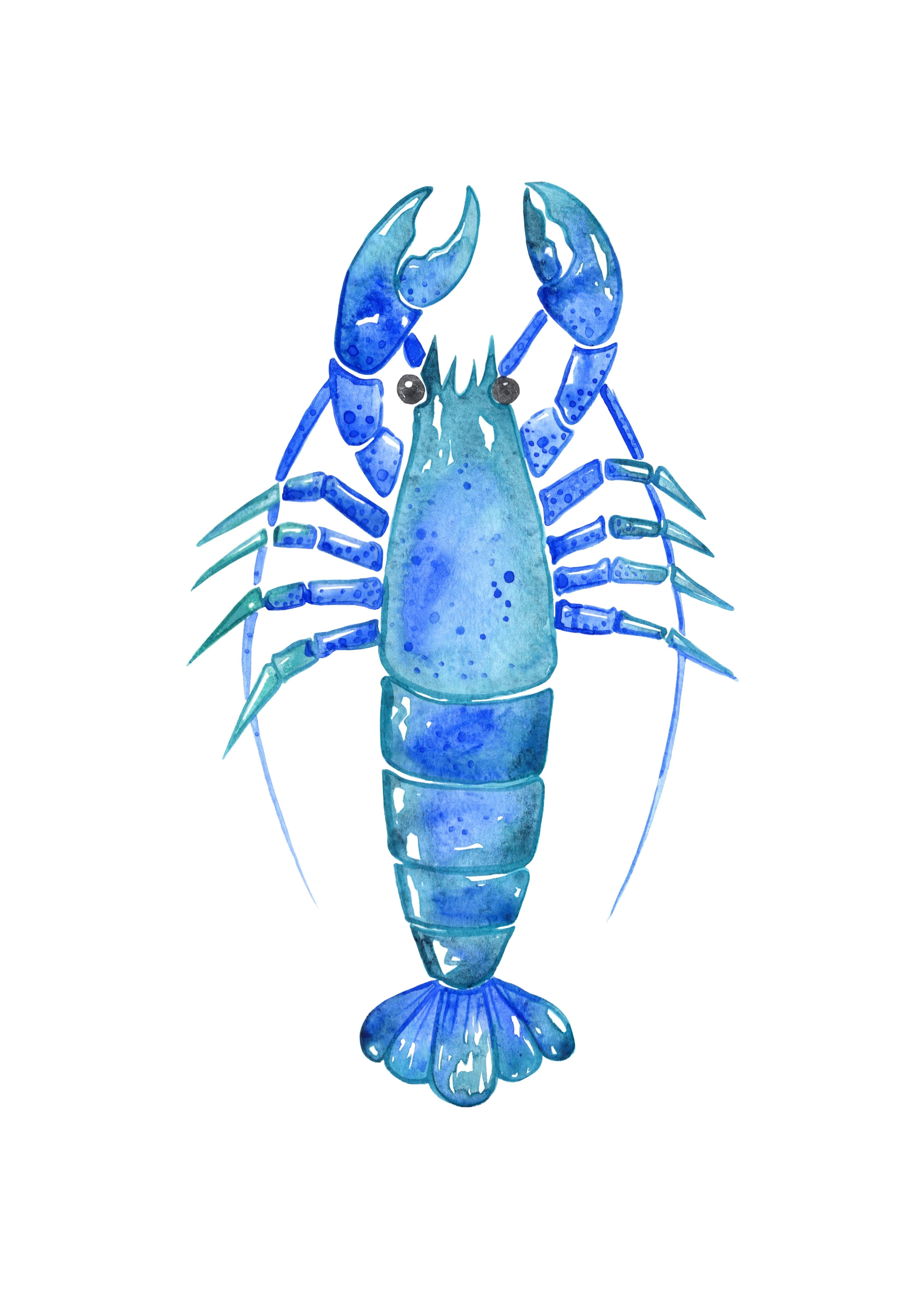 Langosta azul