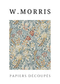 Morris - Lirio dorado