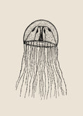 Meduza