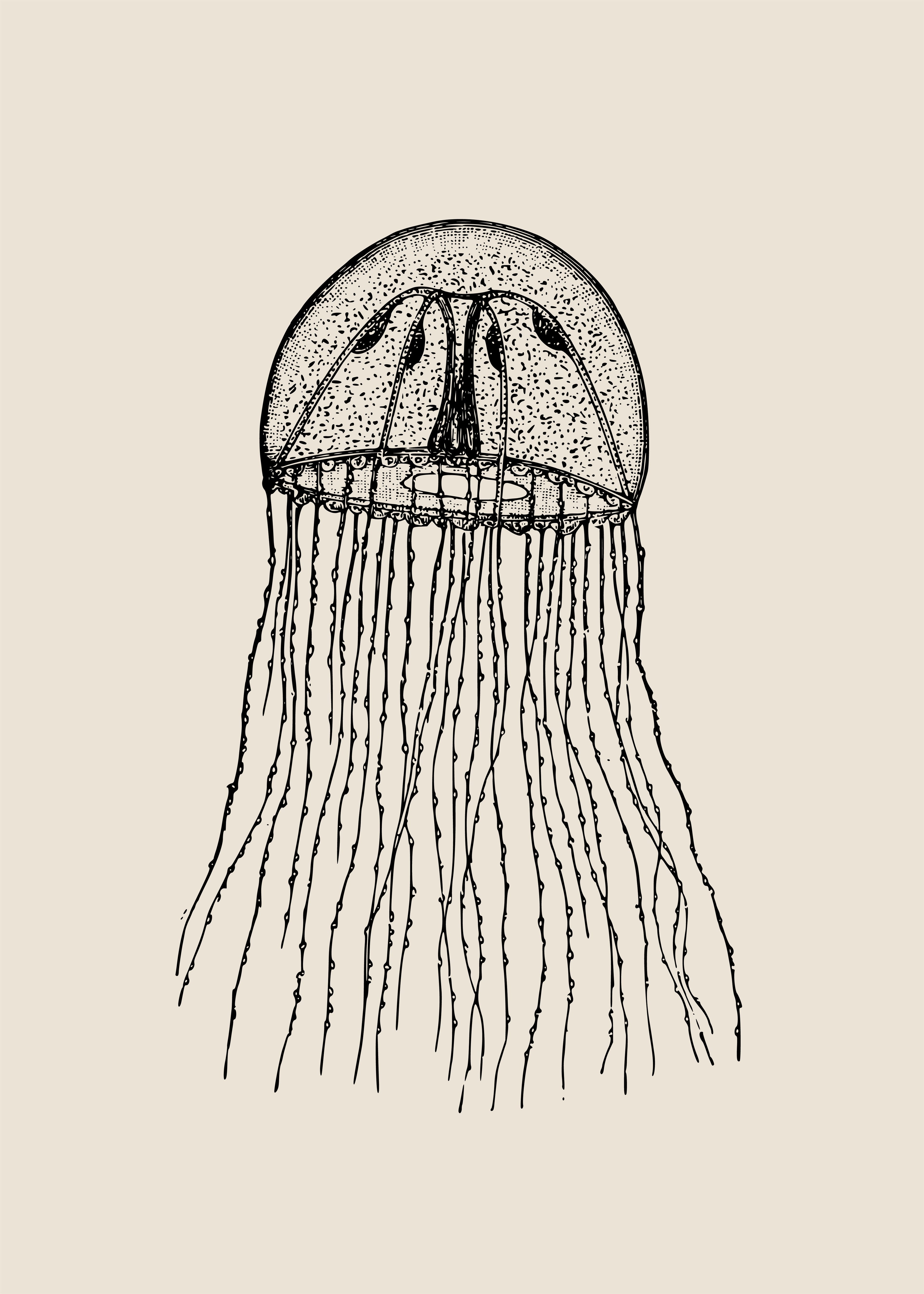 Meduza