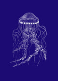 Meduza Azul