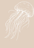 Meduza blanca
