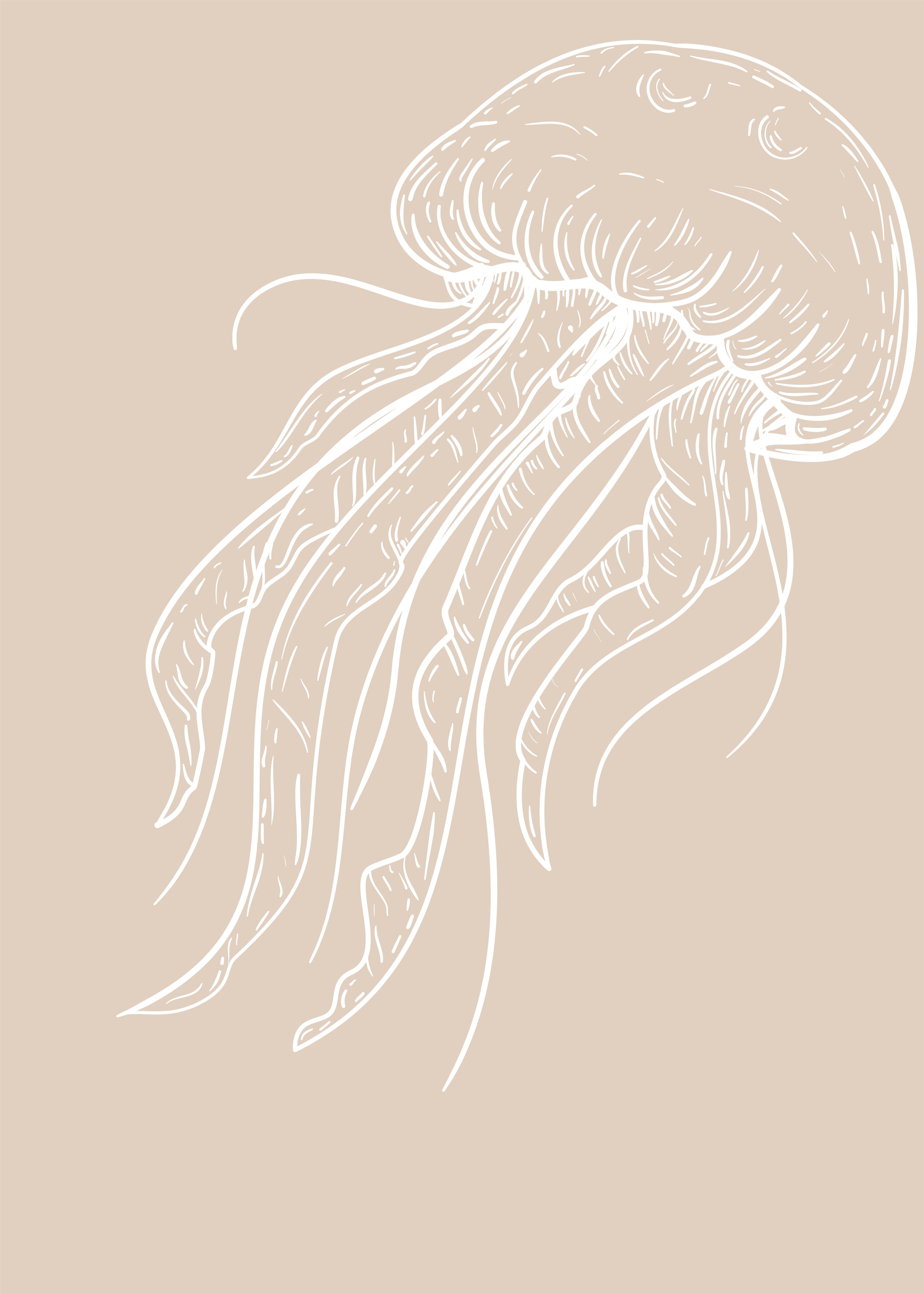Meduza blanca