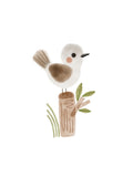 Pajarito