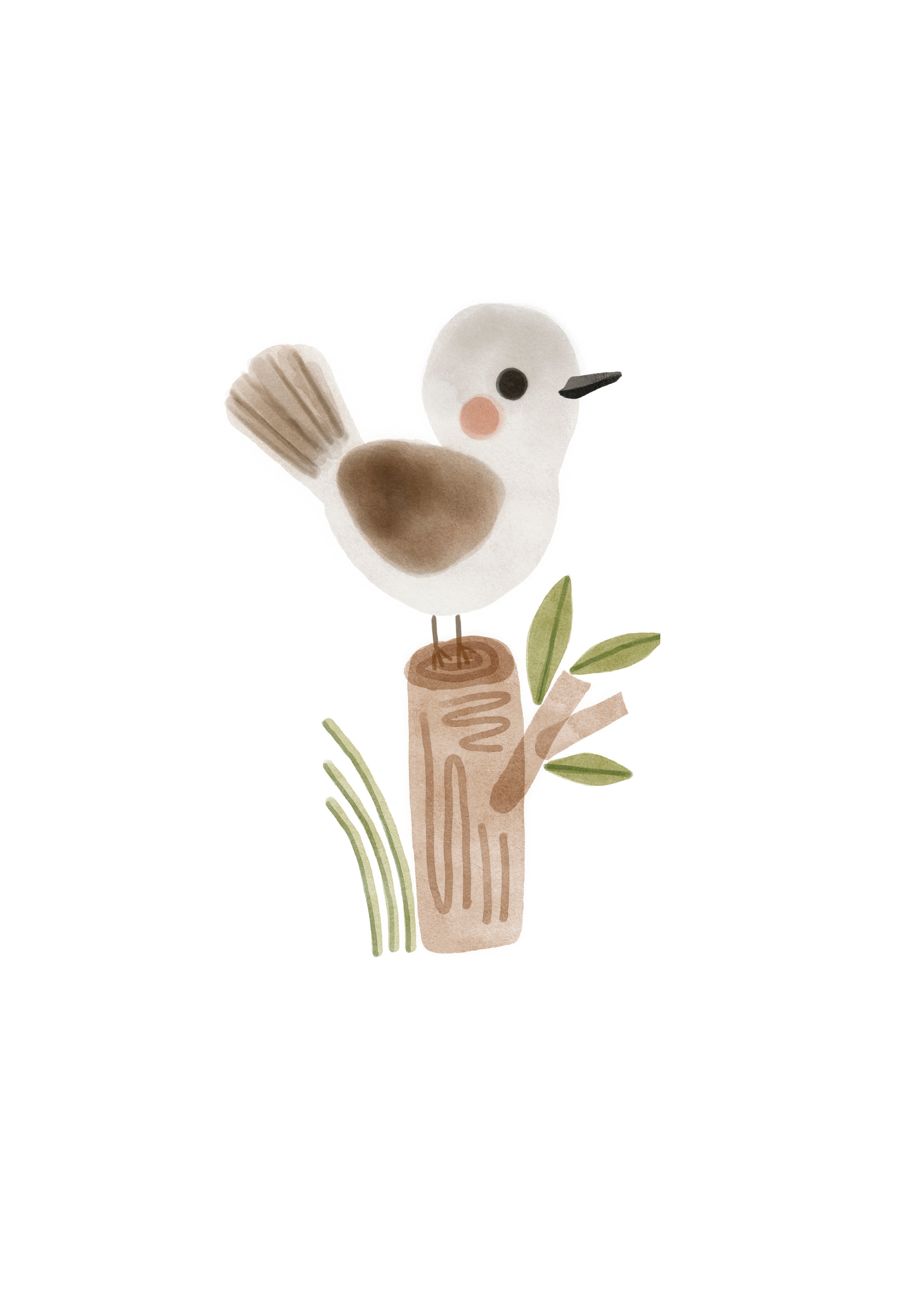 Pajarito
