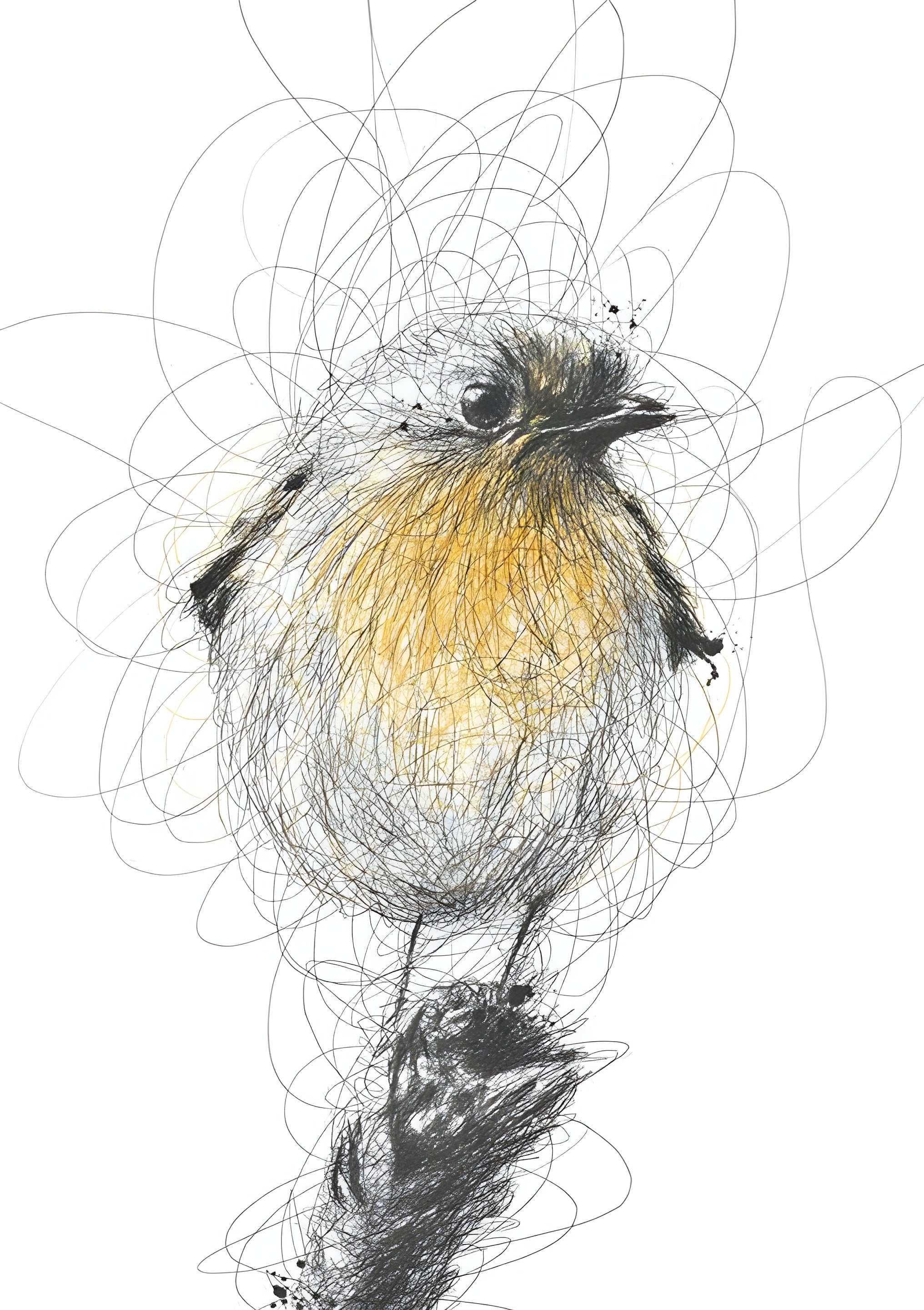 Pajaro abstracto II