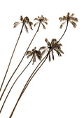 Palmeras