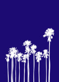Palmeras Azul