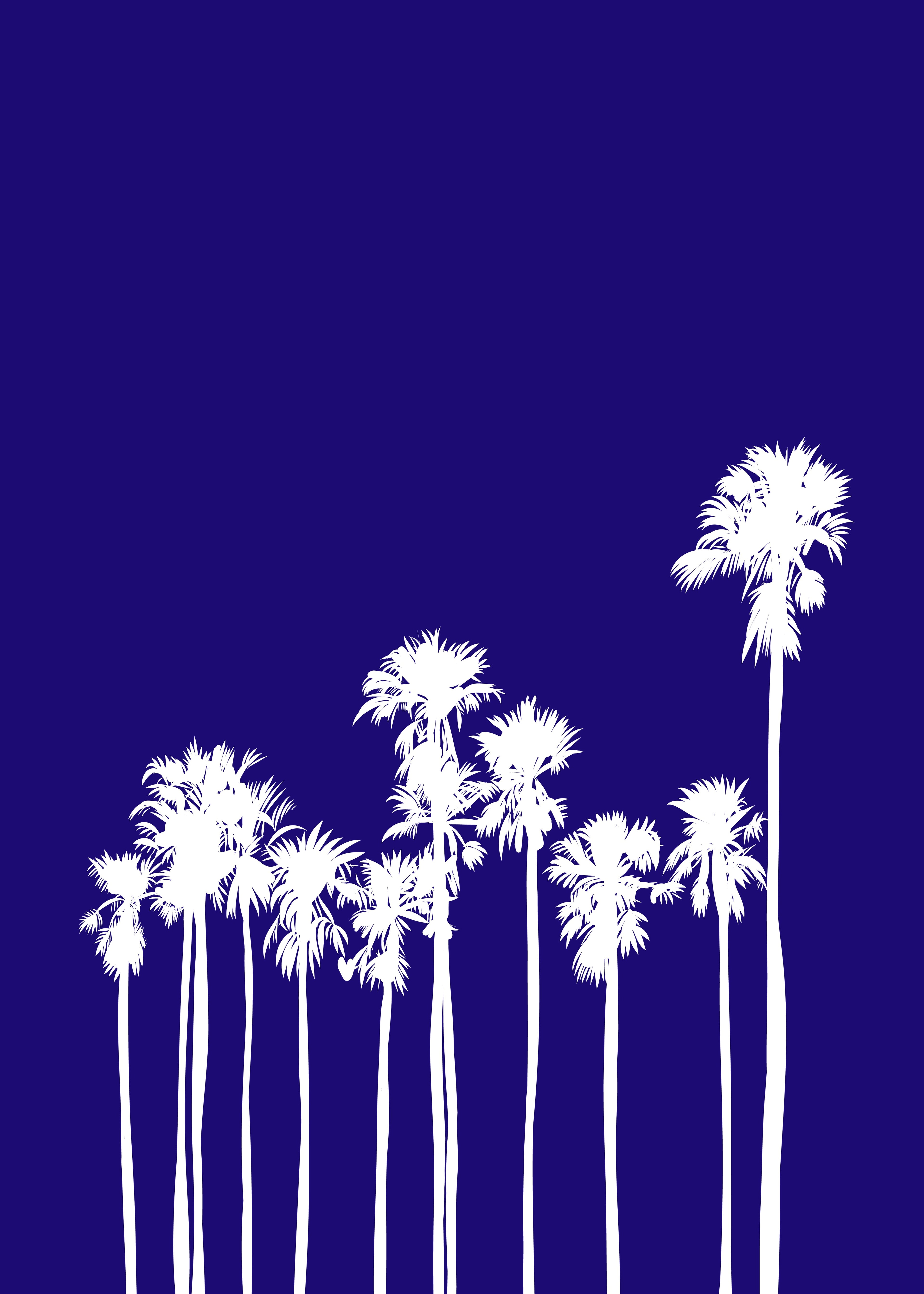Palmeras Azul