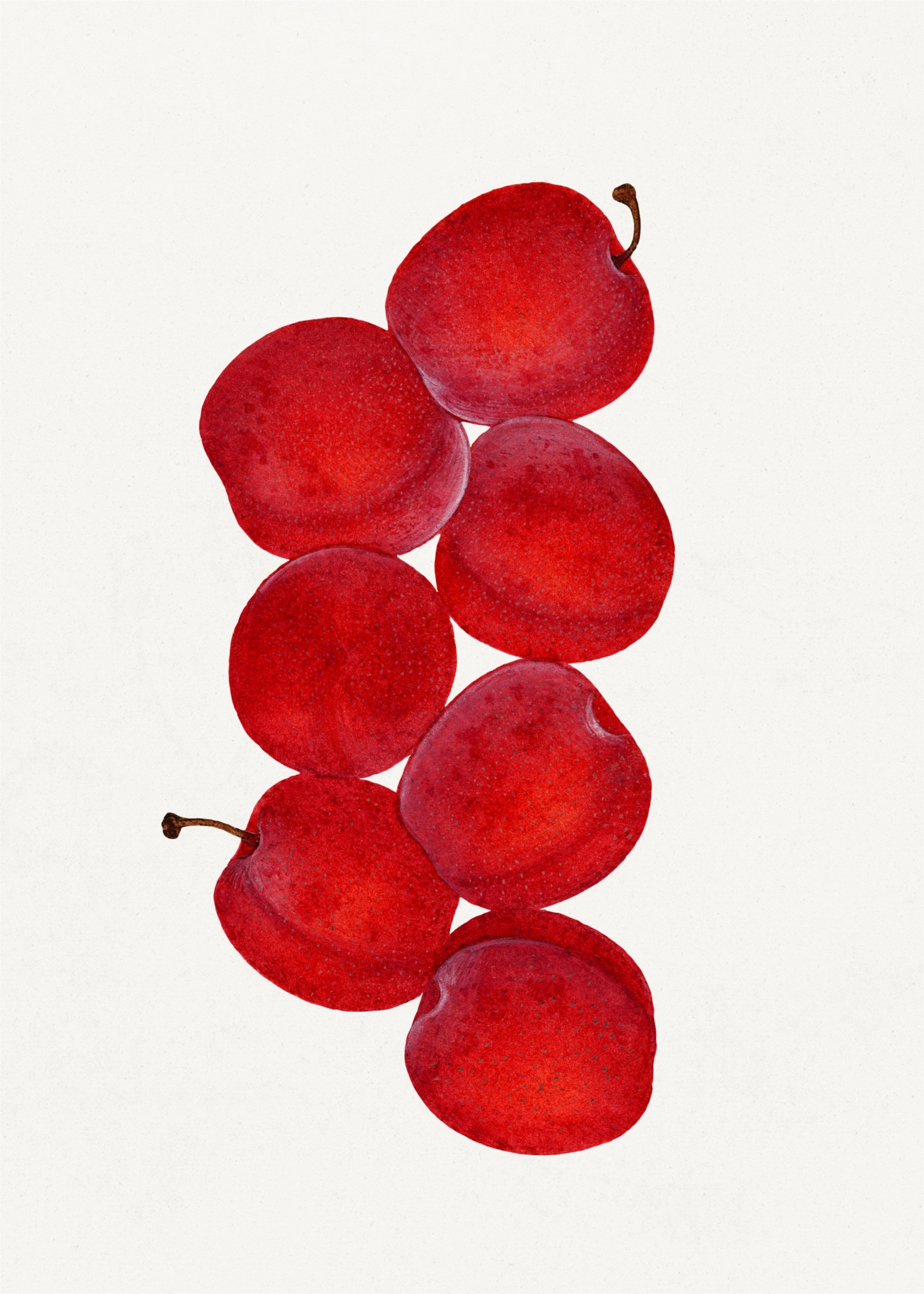 Plums