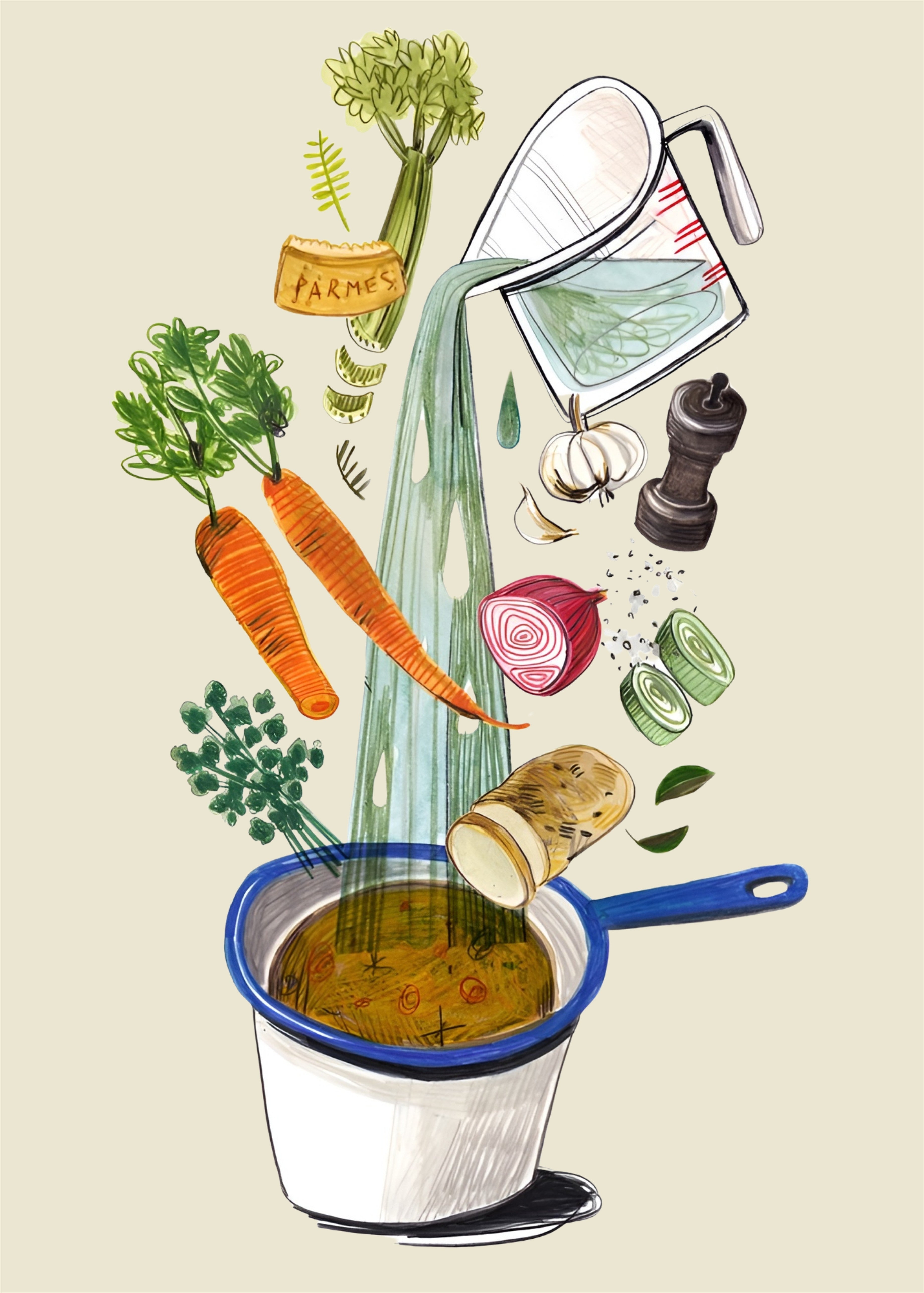 Sopa