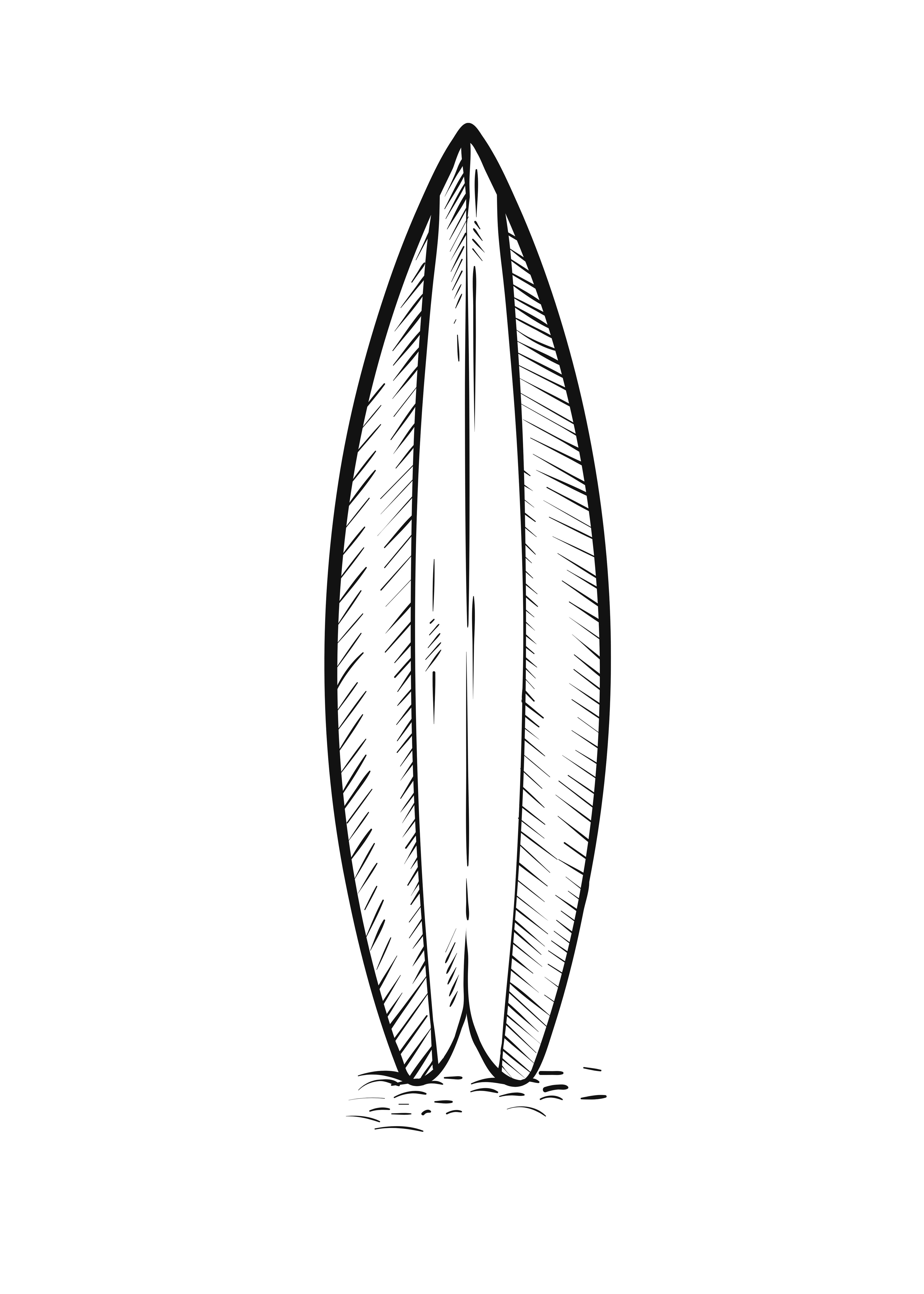 Tabla surf