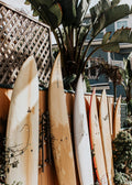 Tablas y Palma
