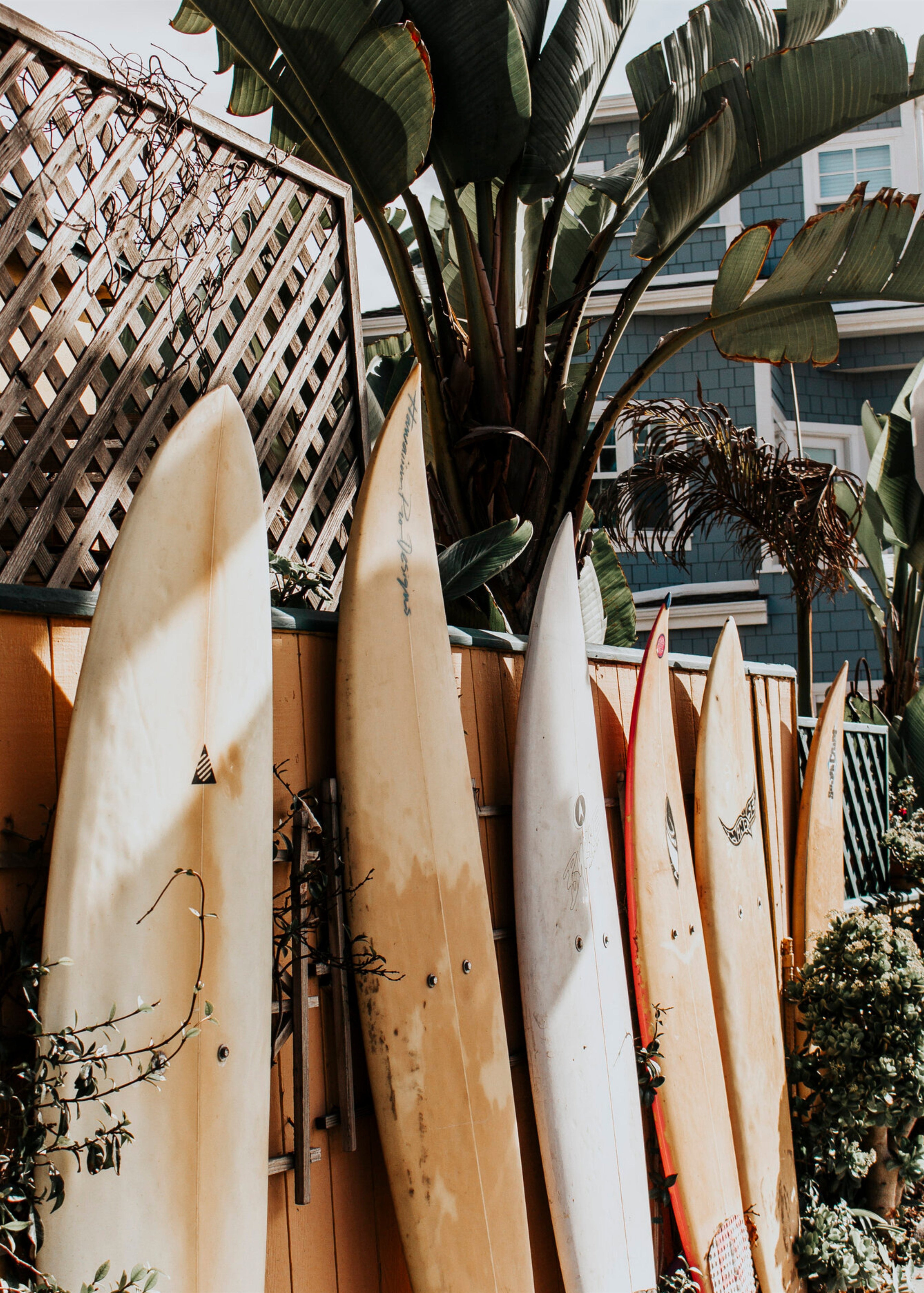 Tablas y Palma