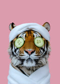 Tigre y pepinos