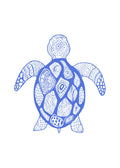 Tortuga Azul
