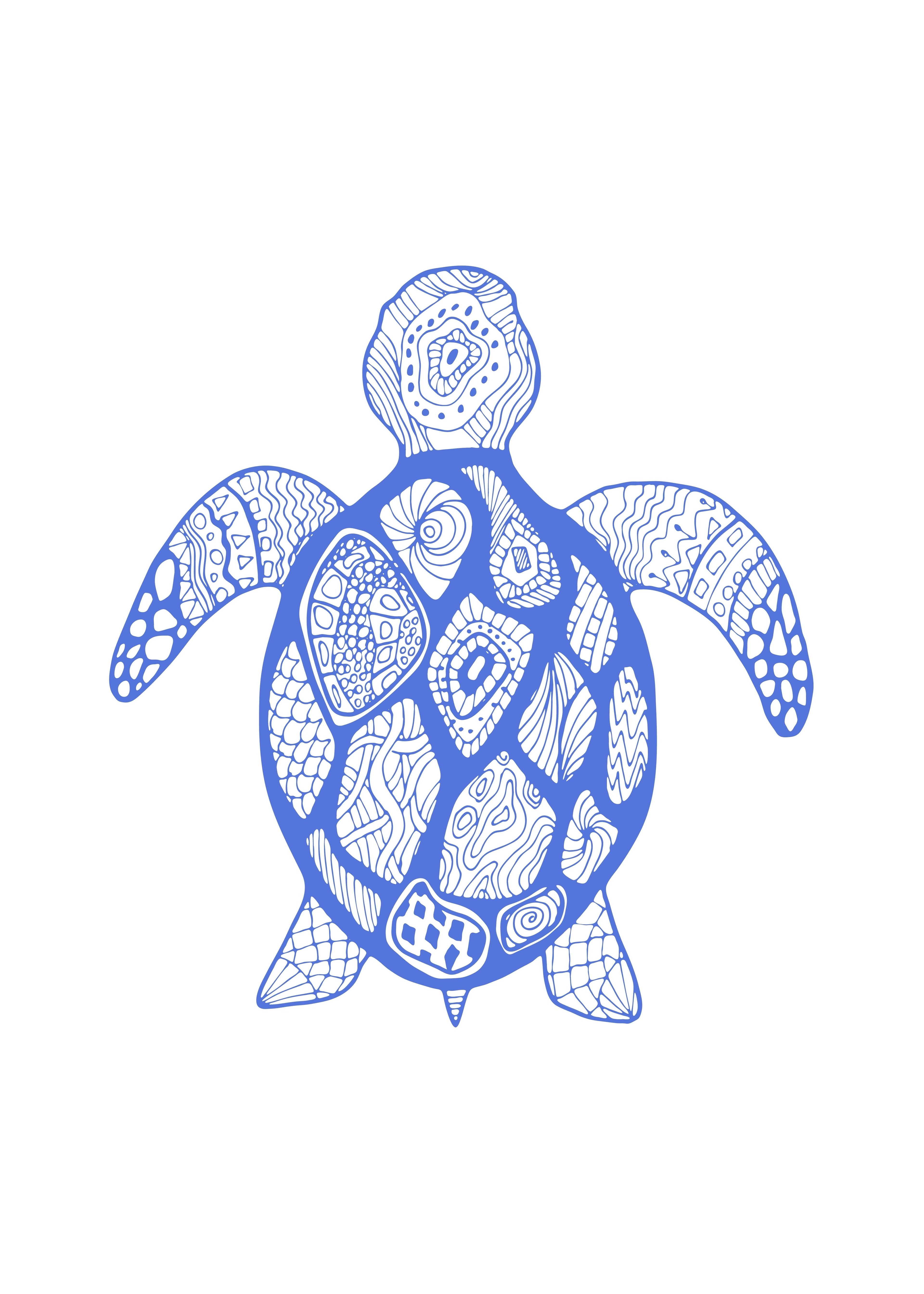 Tortuga Azul