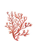 Trio coral II