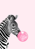 Zebra Bubble