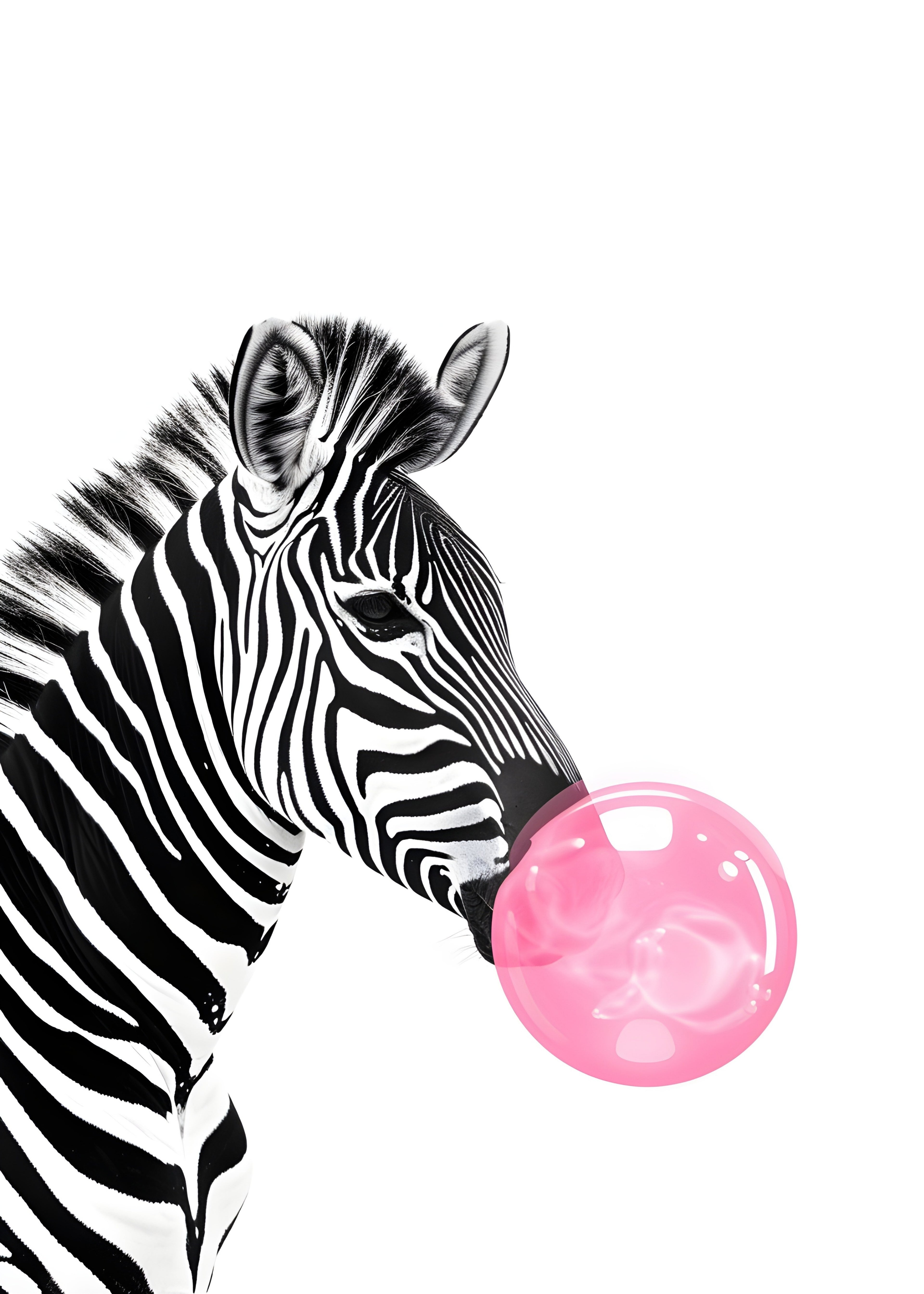 Zebra Bubble II